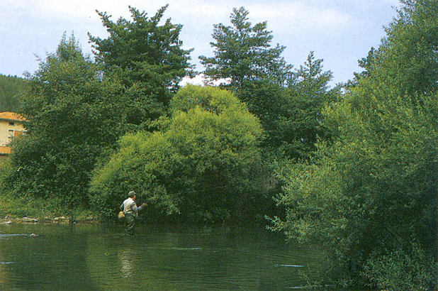 Pesca en el ro Arga (Zubiri, Esterbar)